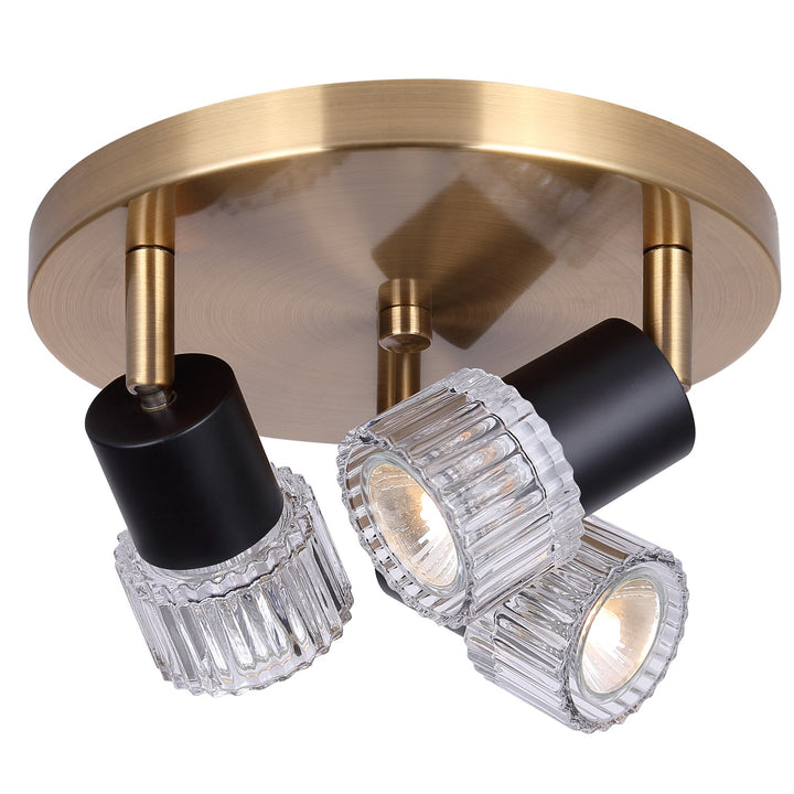 Track Lighting In Black/Gold Finish by Canarm