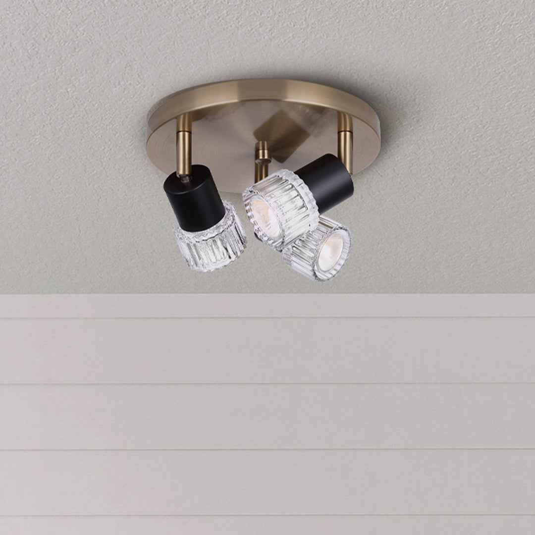Track Lighting In Black/Gold Finish