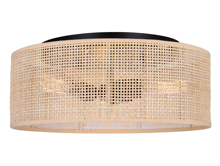 Flush Mount In Black Finish by Canarm
