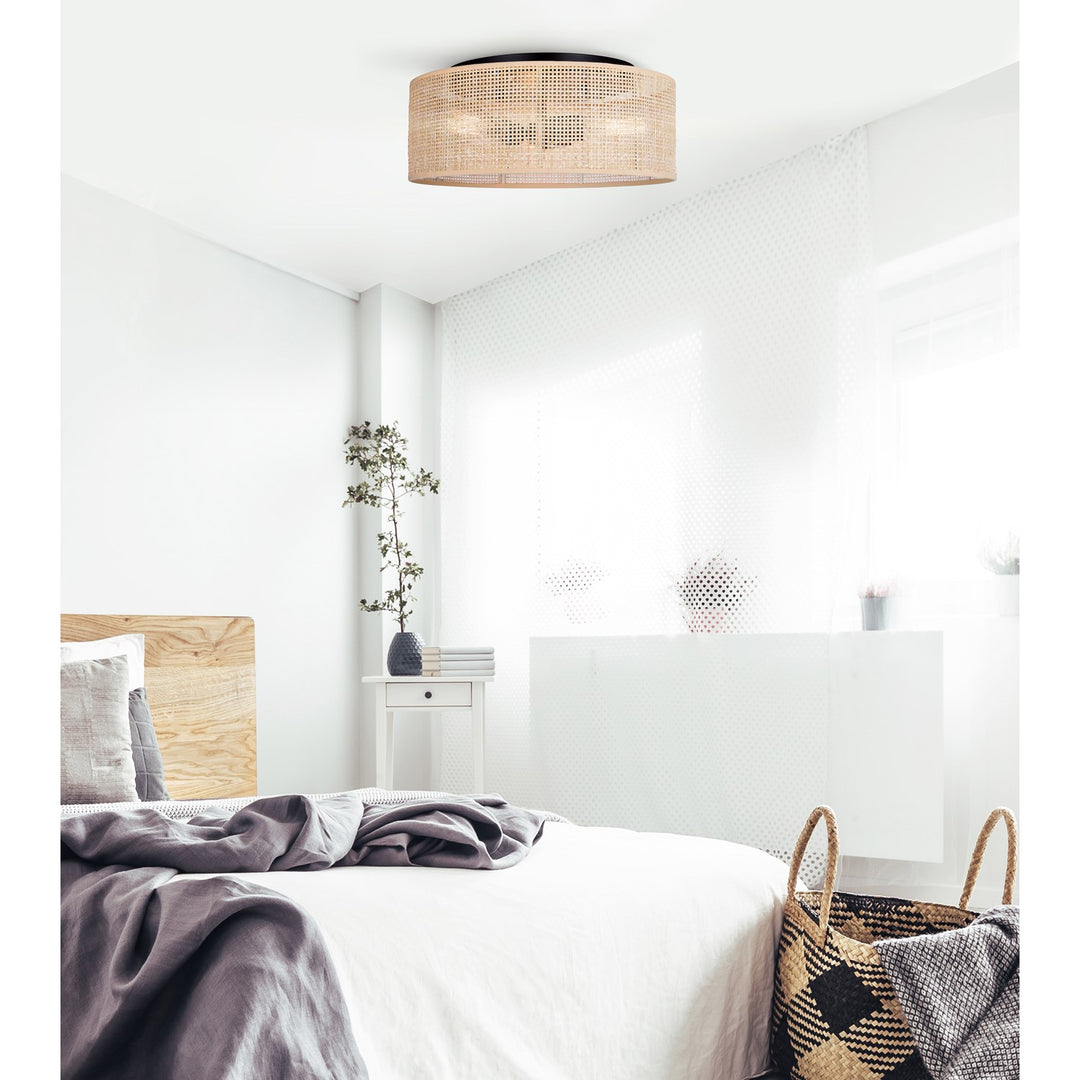Flush Mount In Black Finish