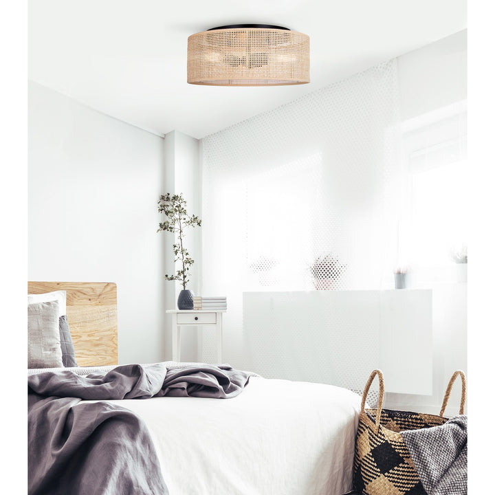 Flush Mount In Black Finish