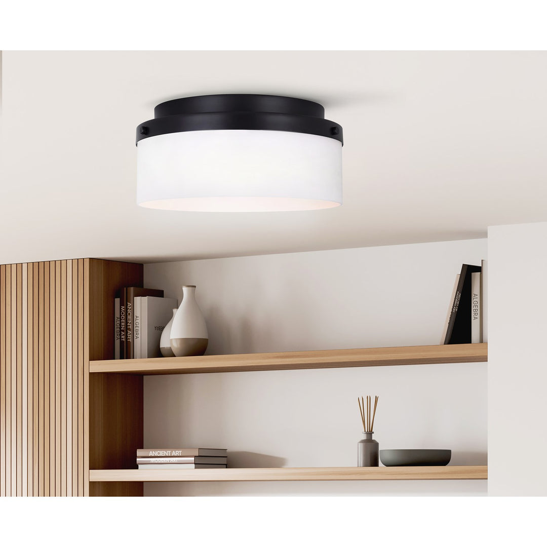 Flush Mount In Black Finish