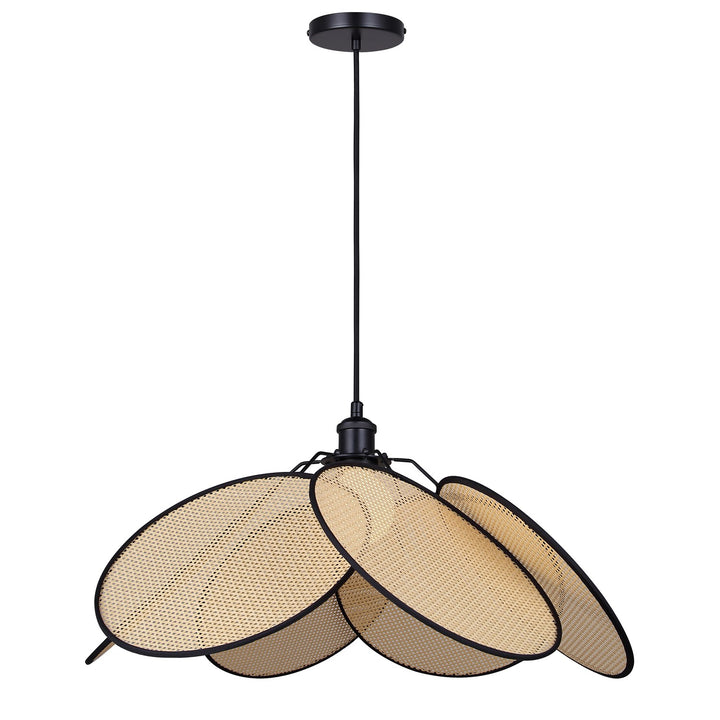 Pendant In Matte Black Finish by Canarm