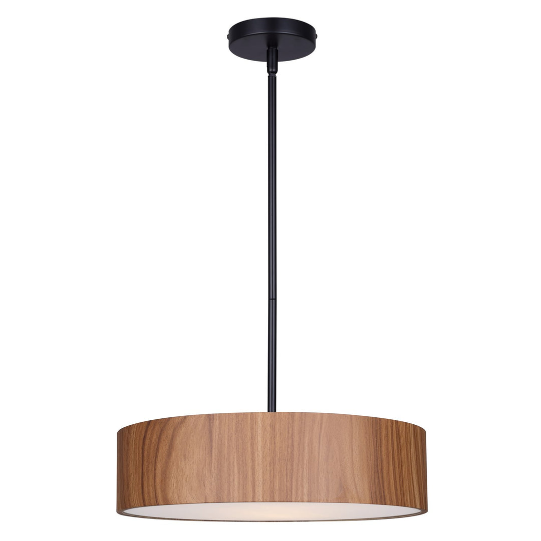 Pendant In Matte Black Finish by Canarm