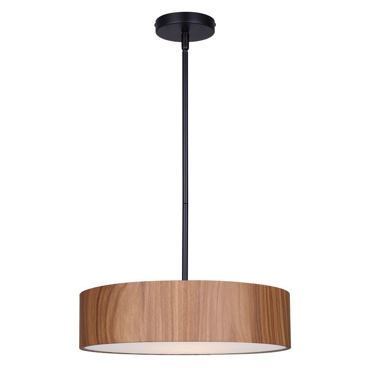 Pendant In Matte Black Finish by Canarm
