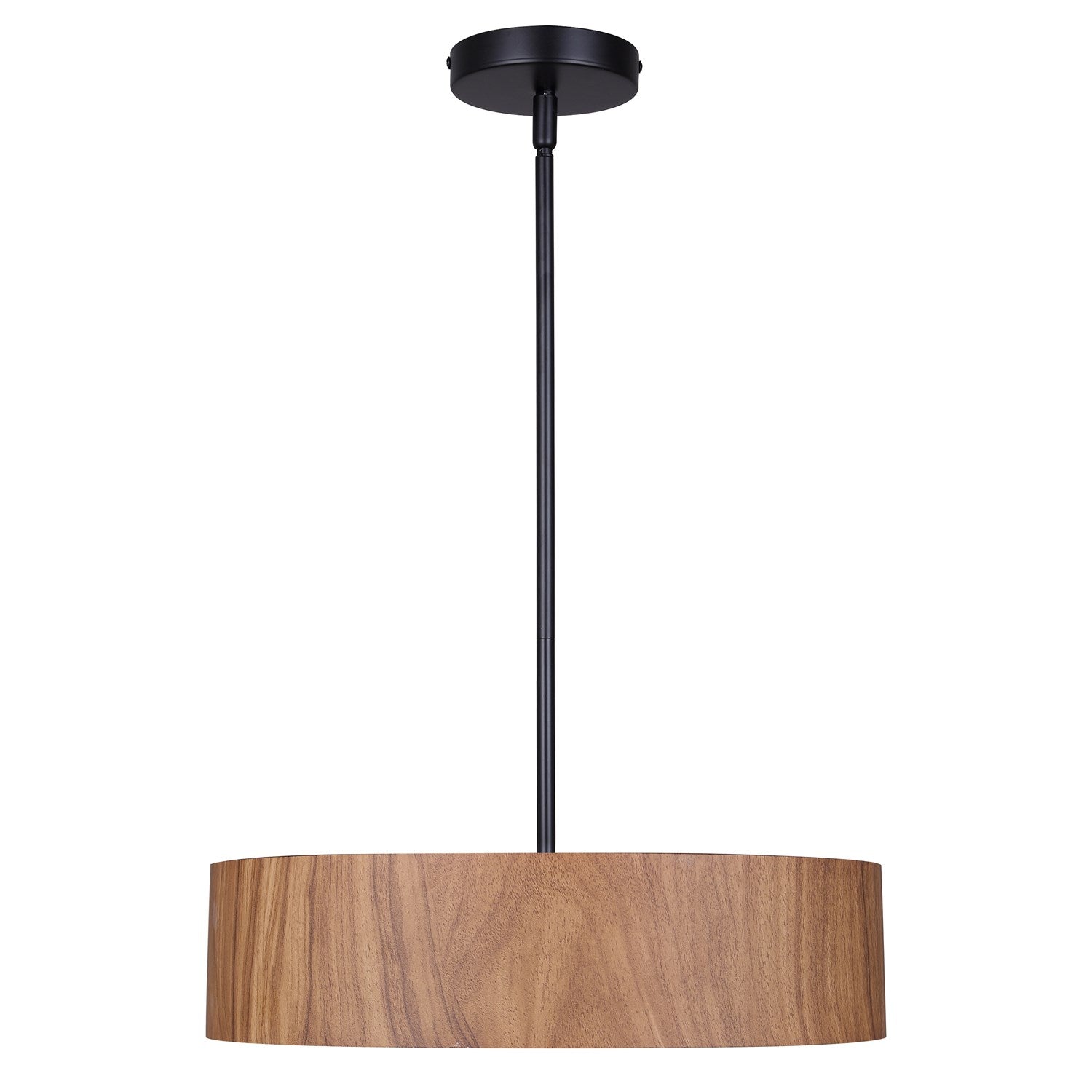 Pendant In Matte Black Finish