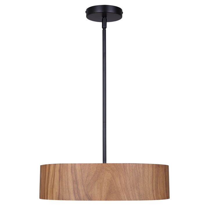 Pendant In Matte Black Finish