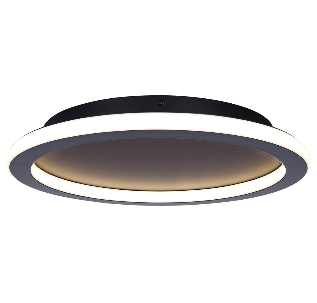 Flush Mount In Black Finish by Canarm