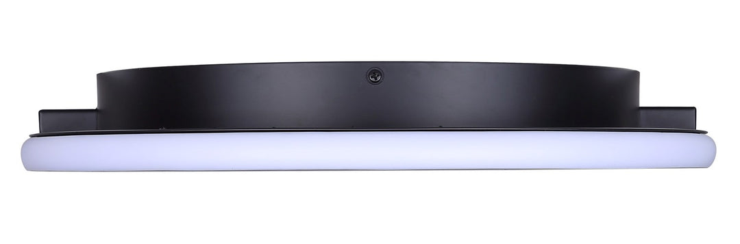 Flush Mount In Black Finish