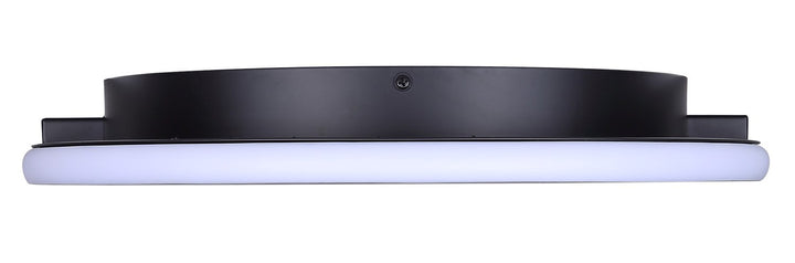 Flush Mount In Black Finish
