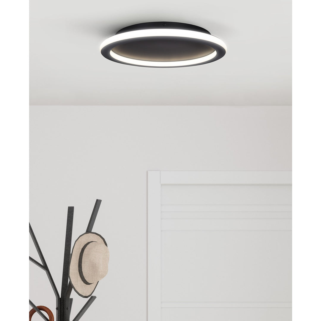 Flush Mount In Black Finish