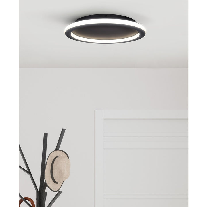 Flush Mount In Black Finish