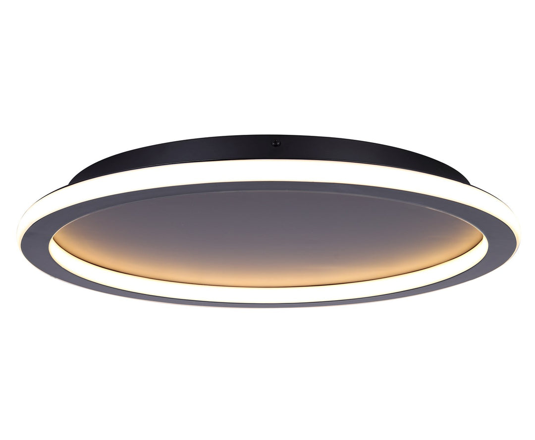 Flush Mount In Black Finish by Canarm
