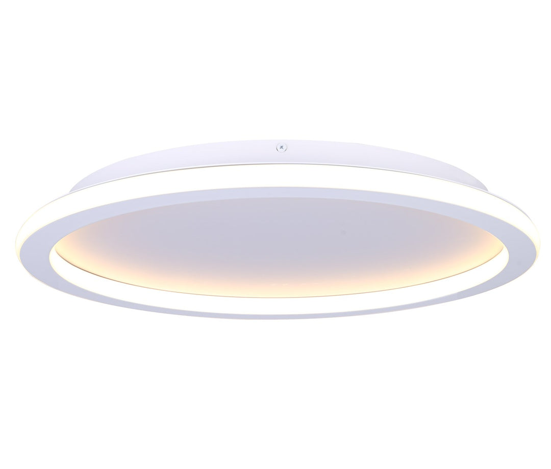 Flush Mount In White Finish by Canarm