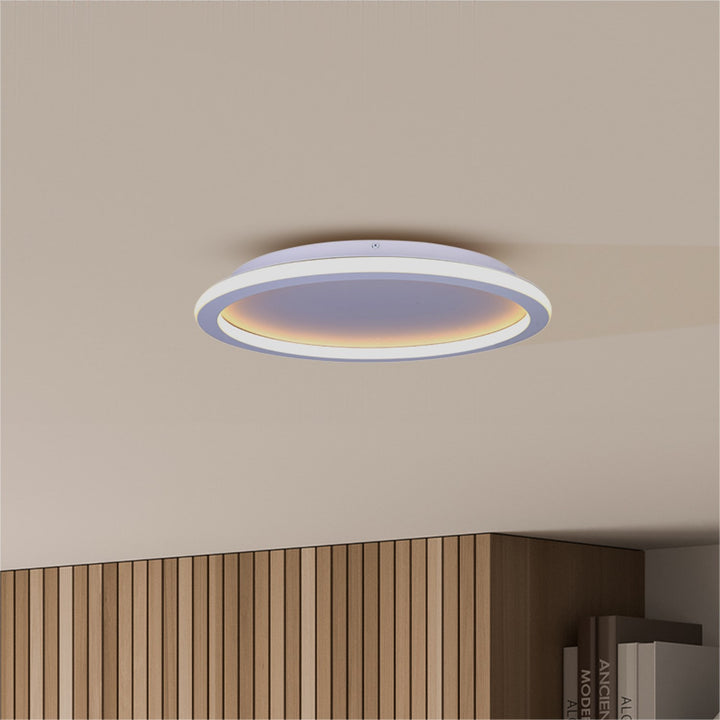 Flush Mount In White Finish