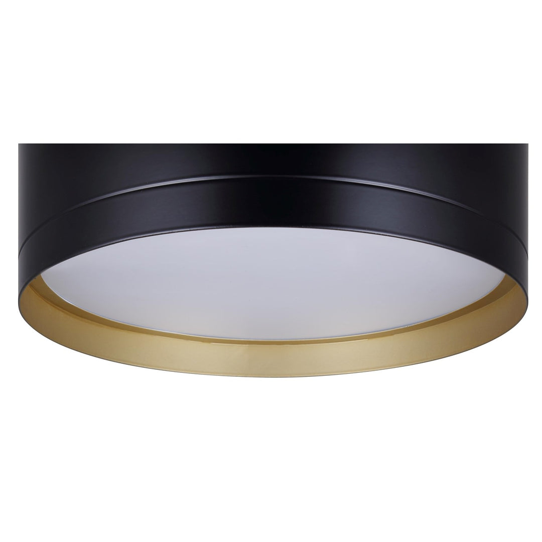 Flush Mount In Black Finish