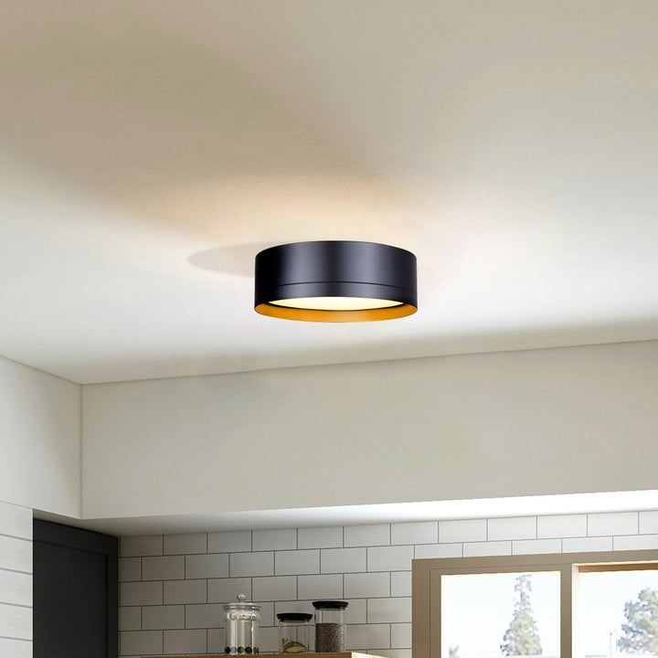Flush Mount In Black Finish