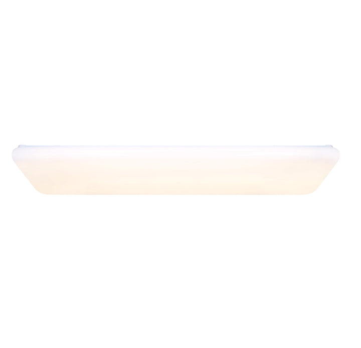 Utility Light In White Finish by Canarm
