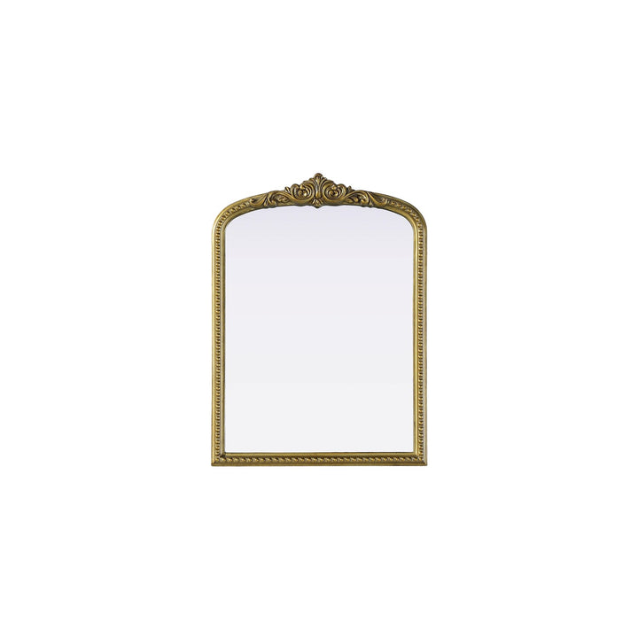 Vintage Resin Mirror 22X30 In Antique Brass by Elegant Decor
