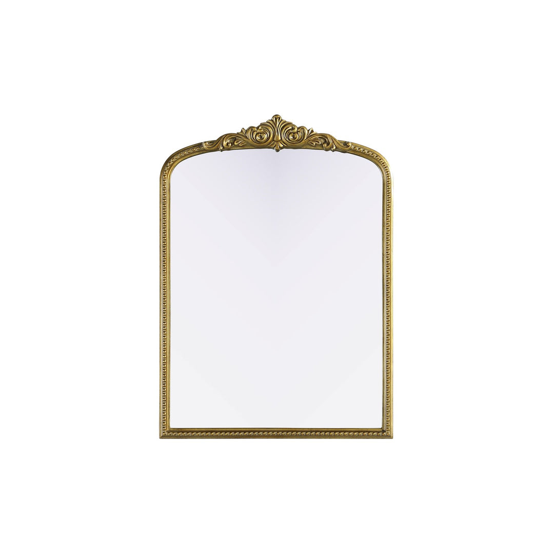 Vintage Resin Mirror 30X42 In Antique Brass by Elegant Decor