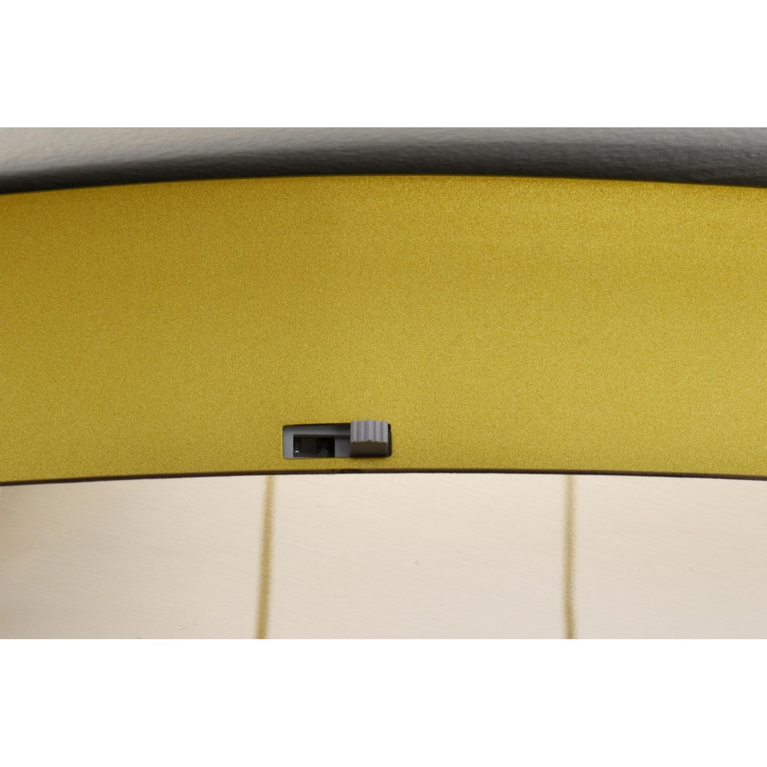 20 Inch Led Pendant In Satin Gold