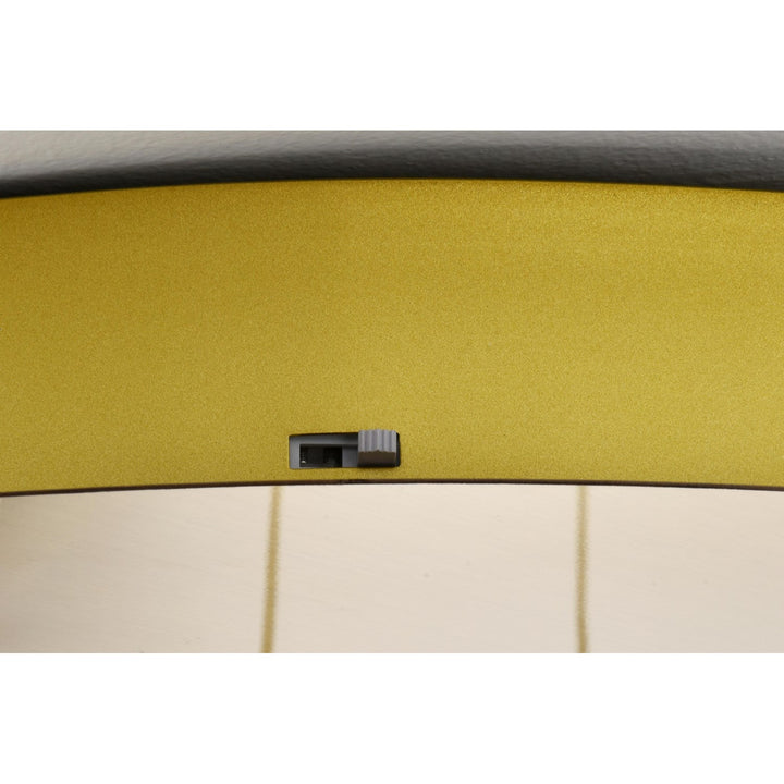20 Inch Led Pendant In Satin Gold