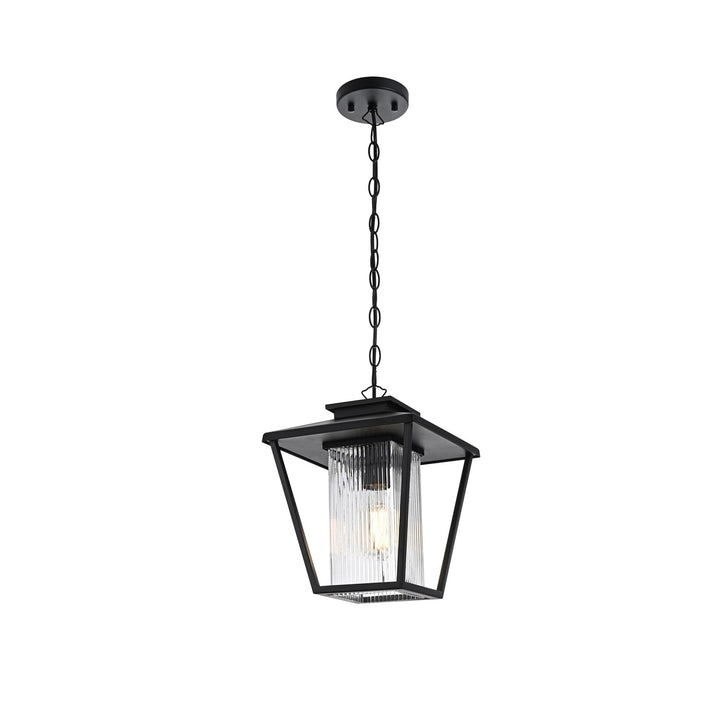 10 Inch Outdoor Pendant In Black
