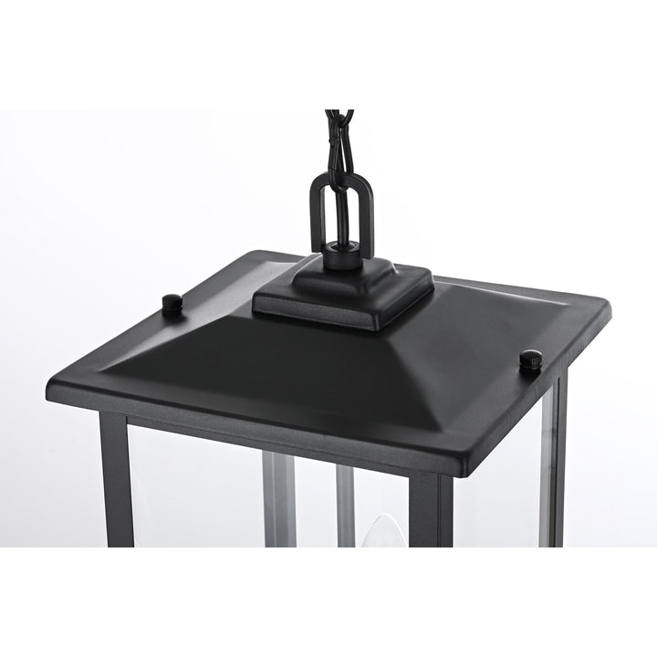 9 Inch Outdoor Pendant In Black
