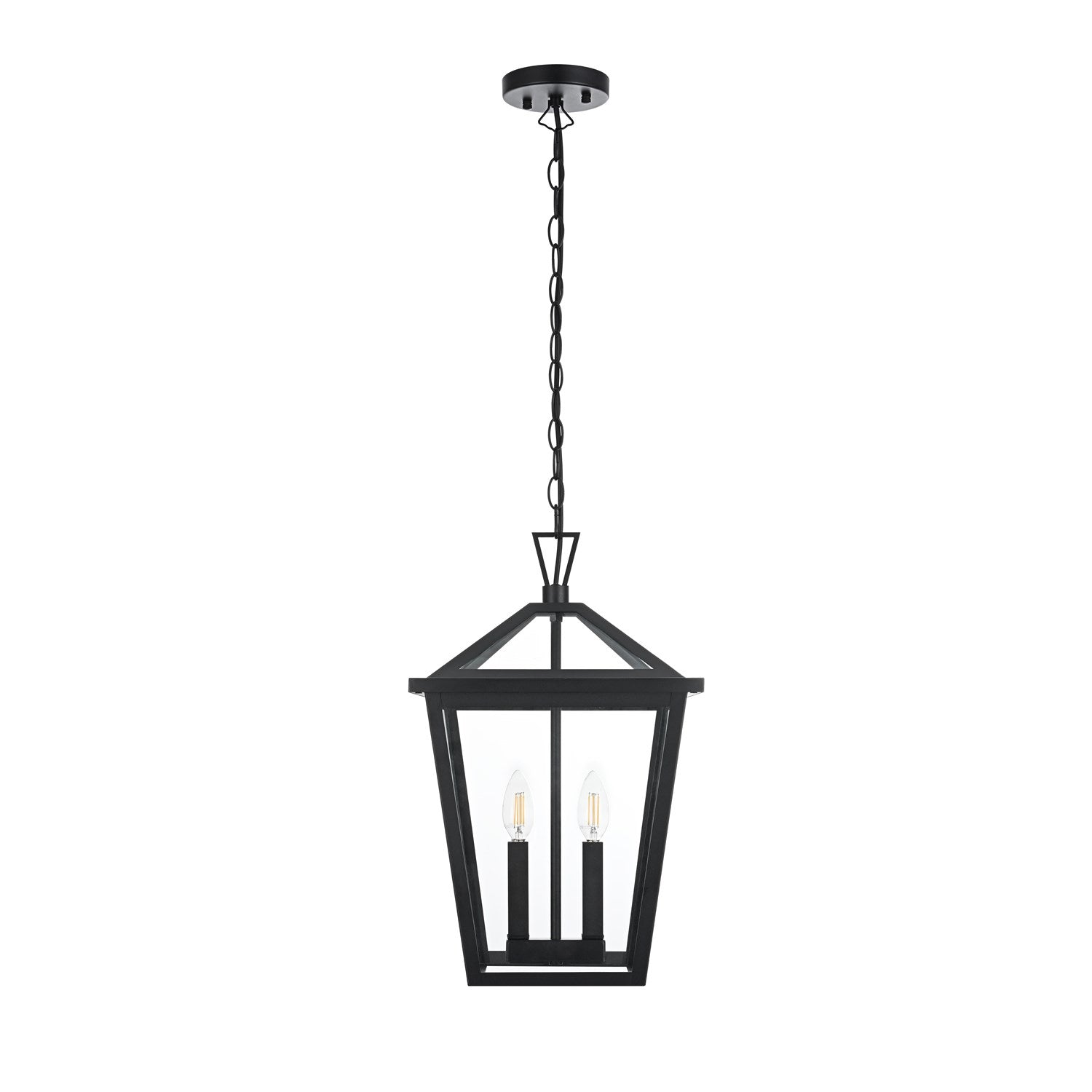 12 Inch Outdoor Pendant In Black by Elegant Lighting