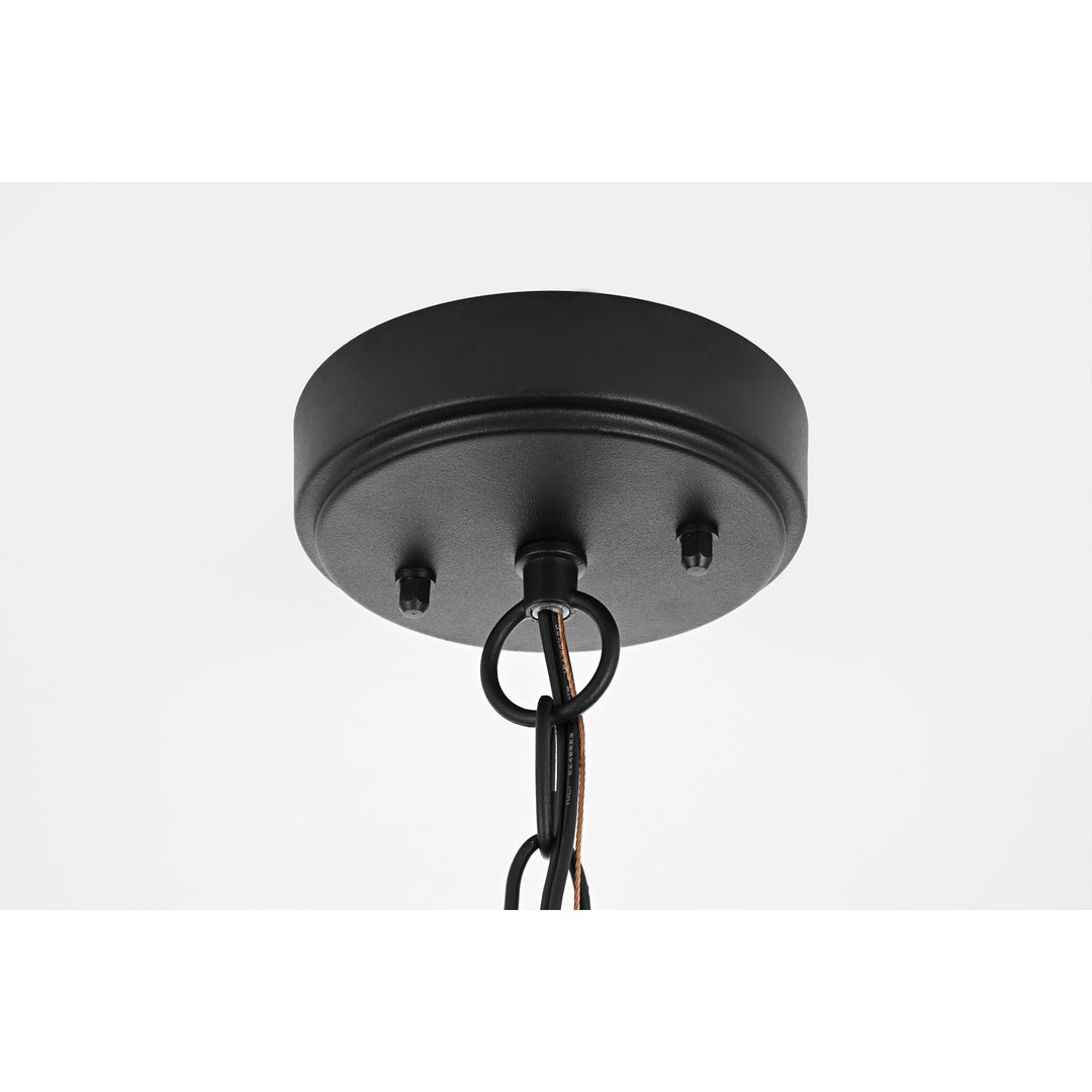23 Inch Led Outdoor Pendant In Black