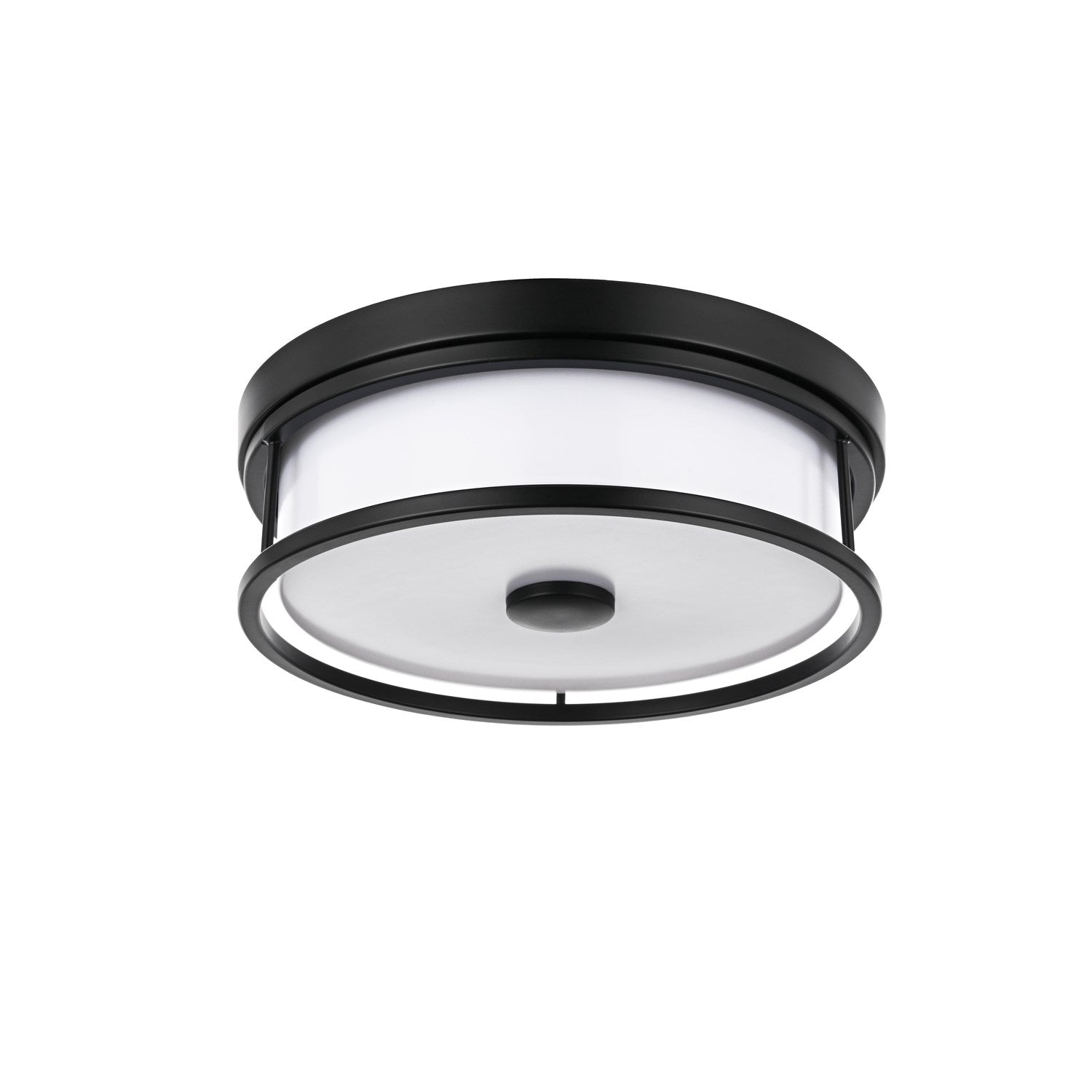12 Inch Led Flush Mount In Black