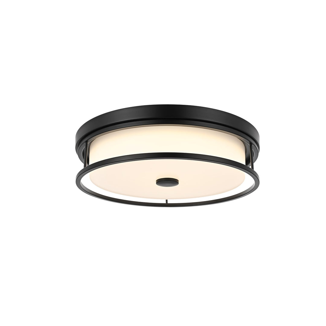 16 Inch Led Flush Mount In Black by Living District