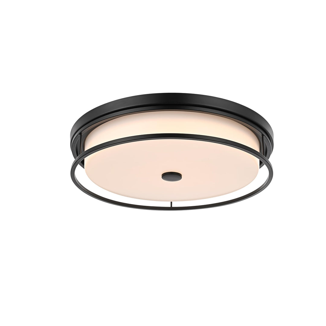 20 Inch Led Flush Mount In Black