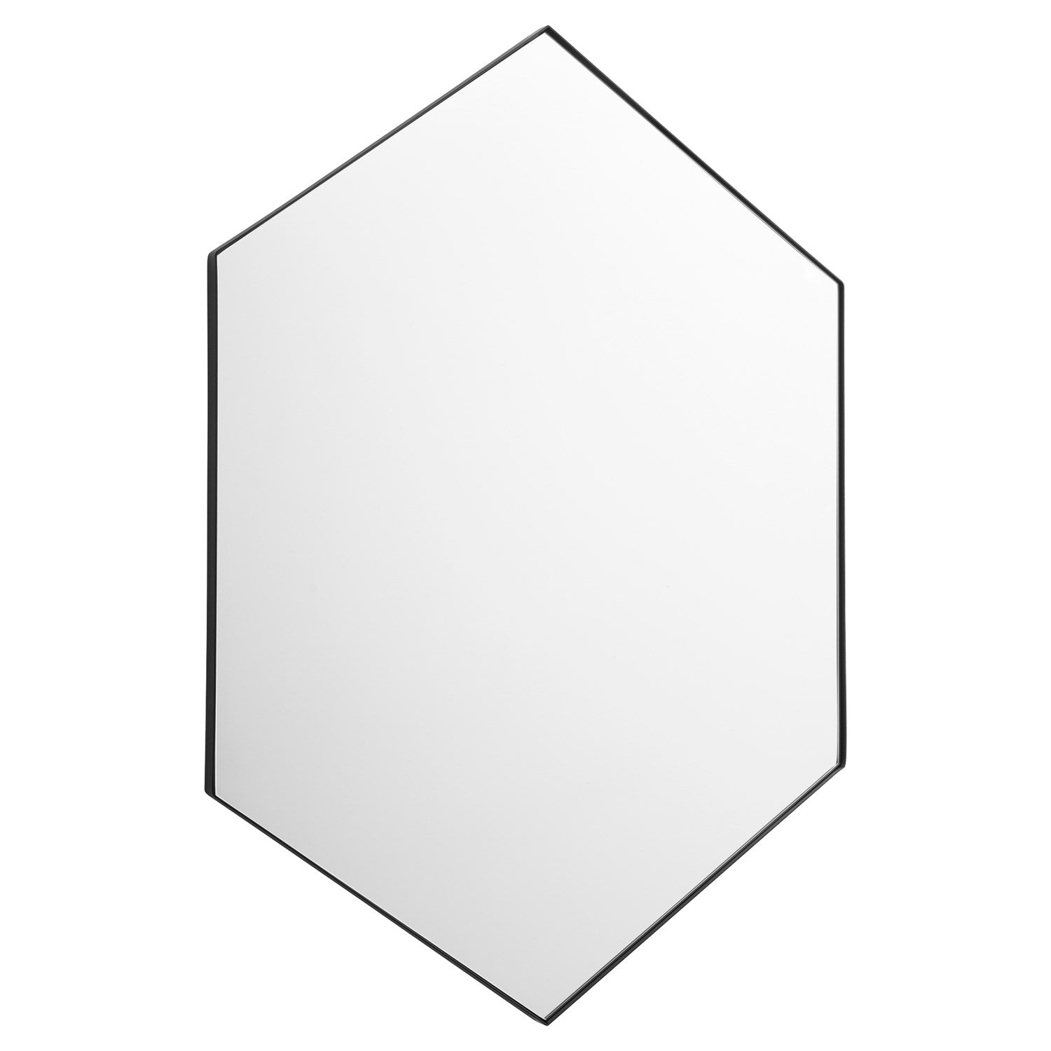 528X40 Hexgn Mirror - Matte Black by Quorum