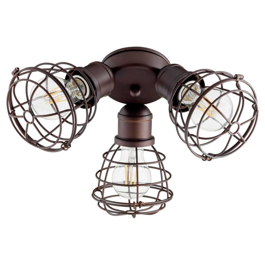 3Lt Damp Cage Kit - Oiled Bronze by Quorum