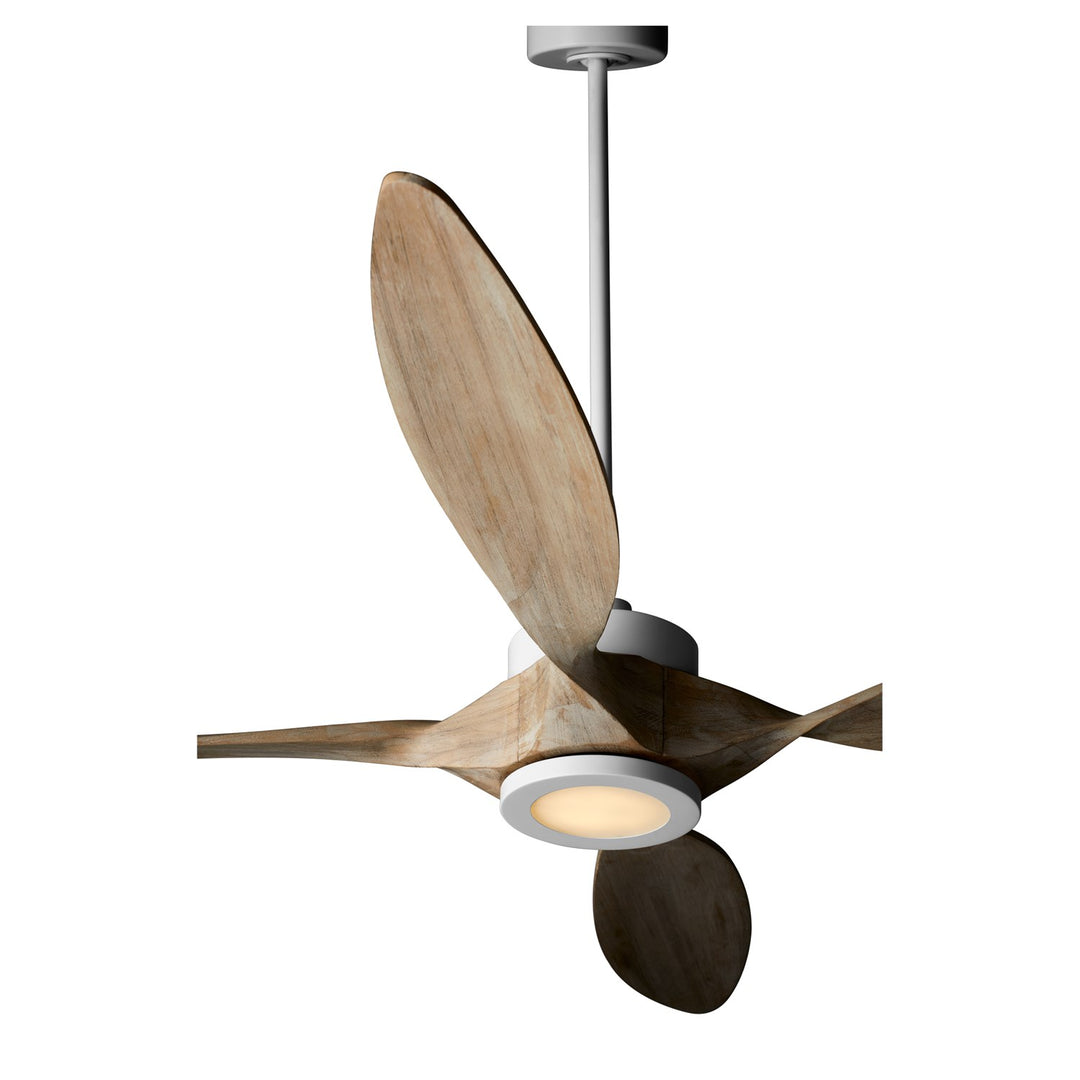 Papillon 66" Wifi Fan -Studio White