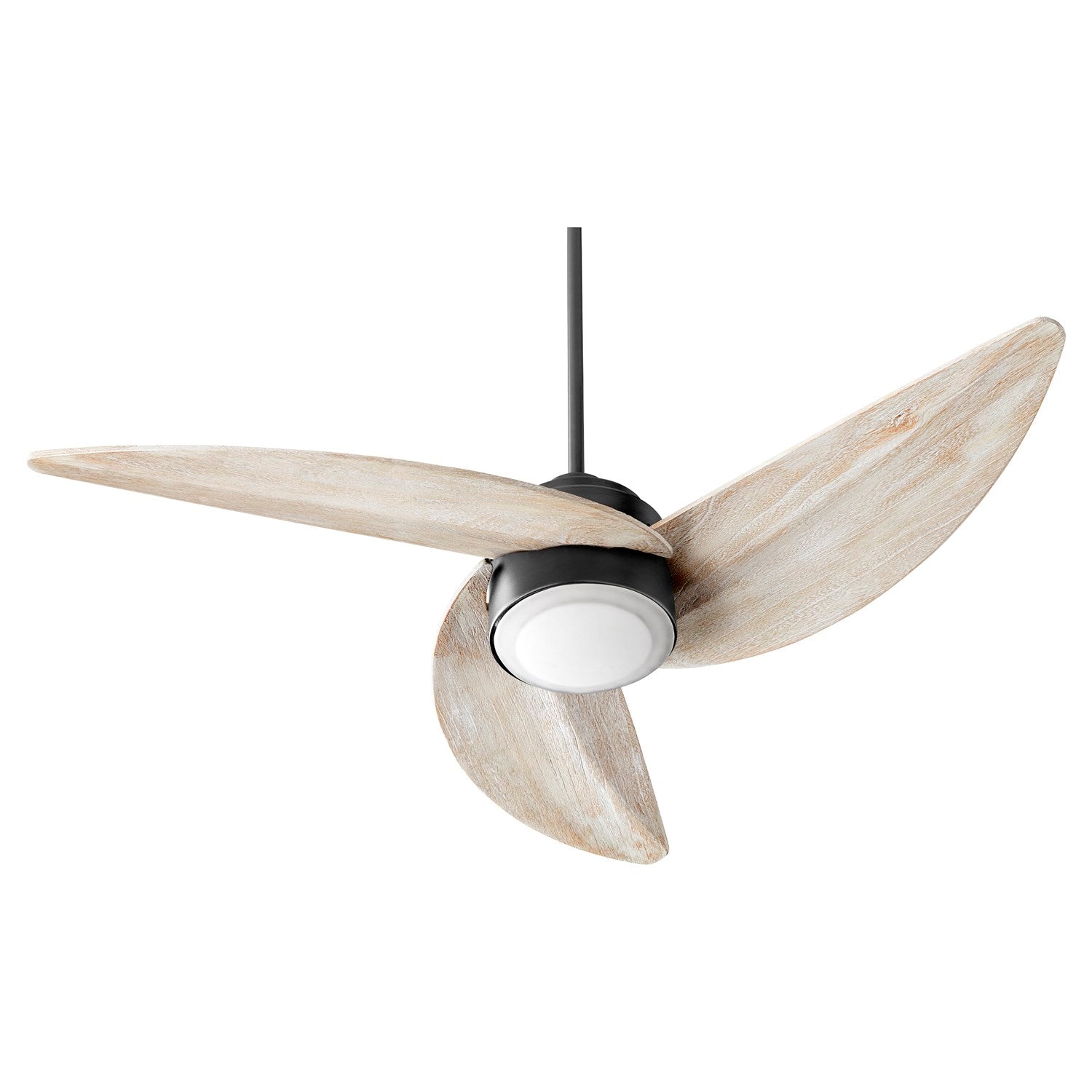 Trinity Fan W/ Led - Textured Black by Quorum