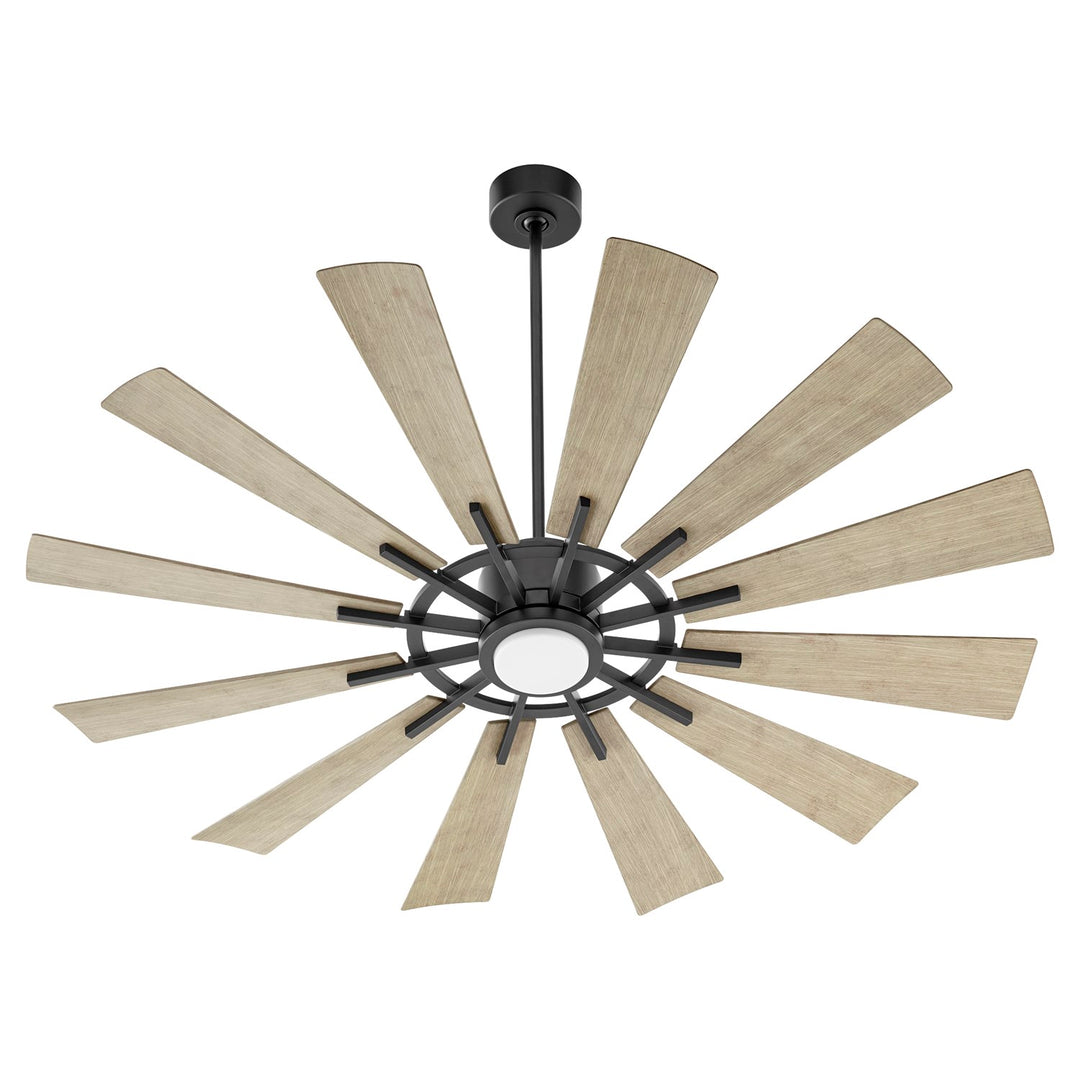 Cirque 60" Fan - Matte Black/Wg by Quorum