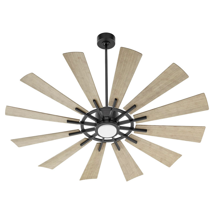 Cirque 60" Fan - Matte Black/Wg by Quorum
