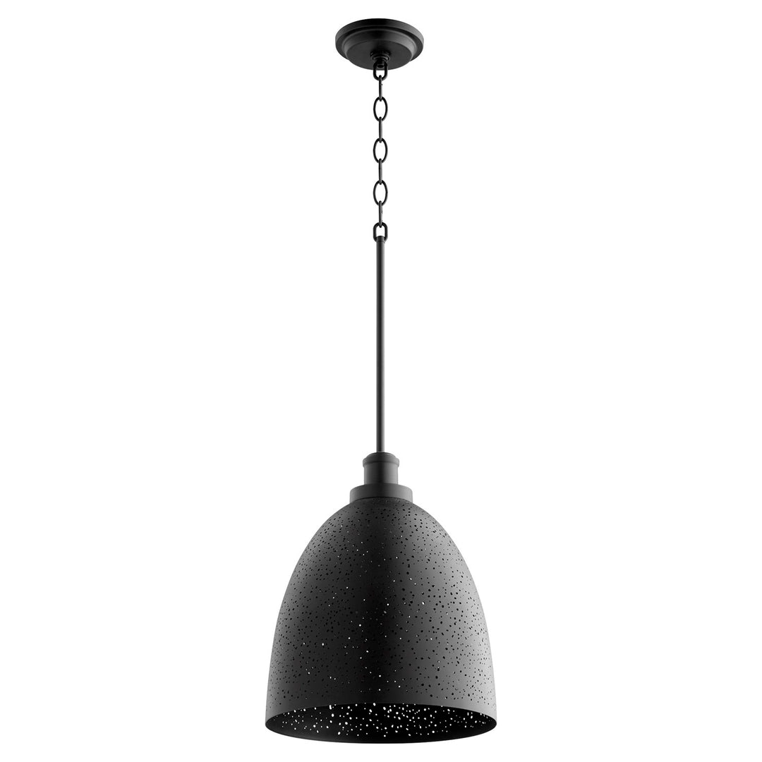 1Lt Stary Night Pendantd -Textured Black by Quorum