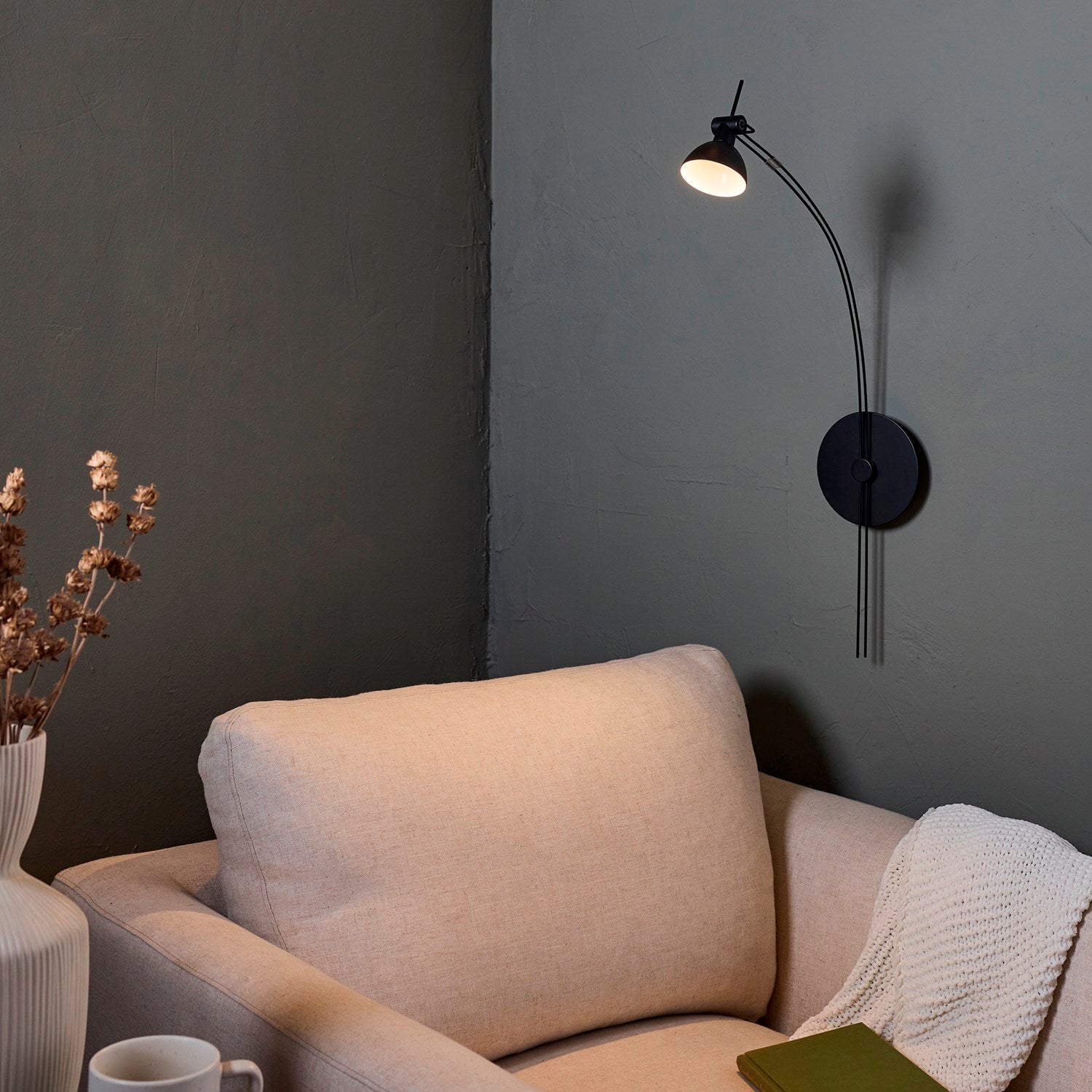 Ricardo Led Picture Light - Matte Black