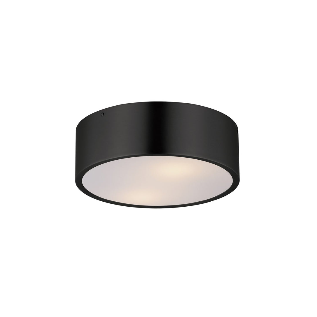 Tommy 12"  2-Light Surface Mount by Maxim