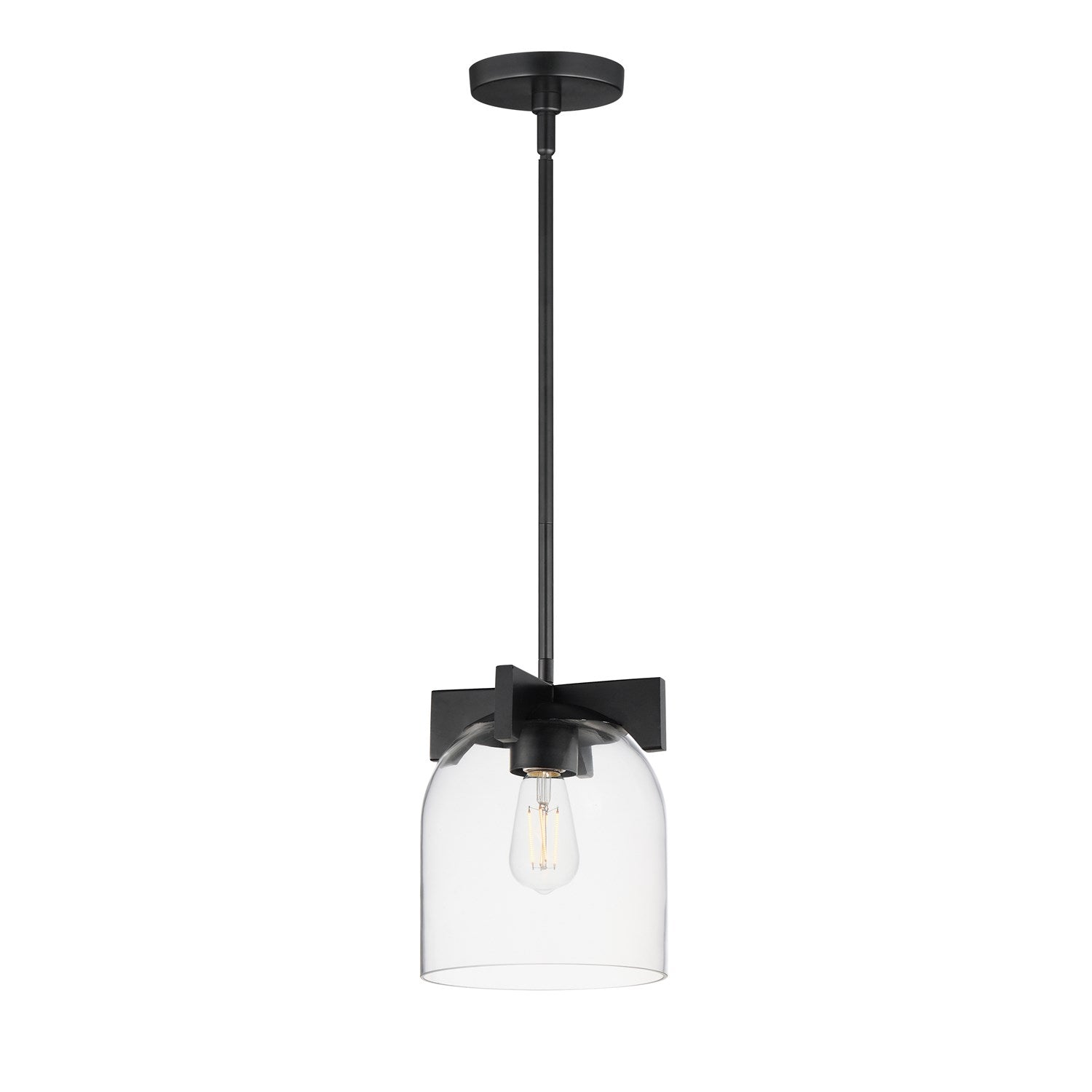 Scoop 1-Light Pendant/Flush Mount by Maxim