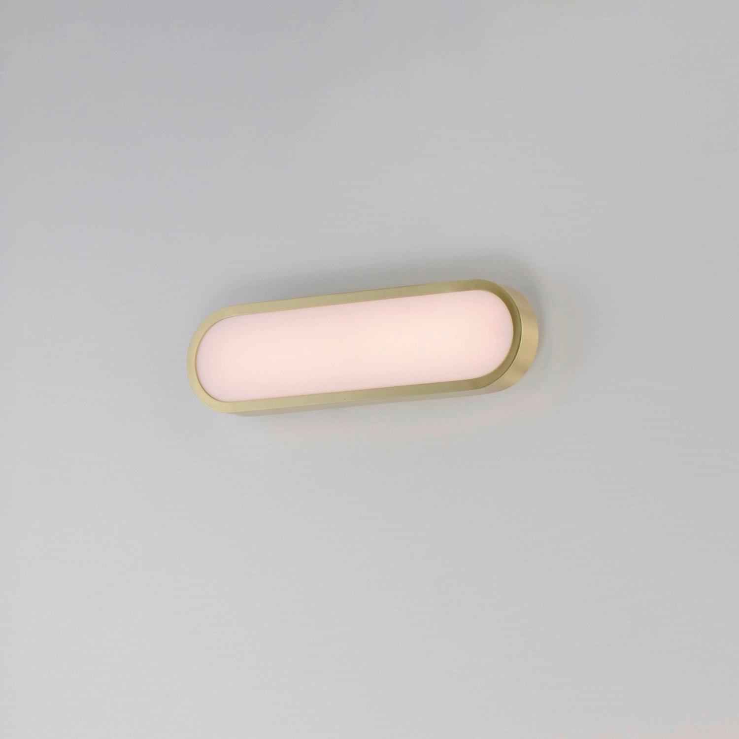 18" Led Bath Sconce