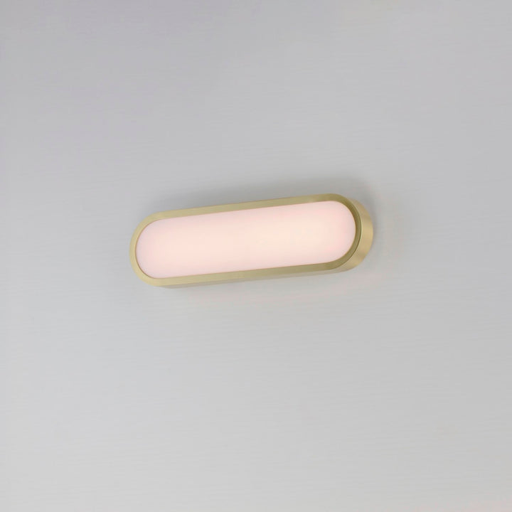 18" Led Bath Sconce