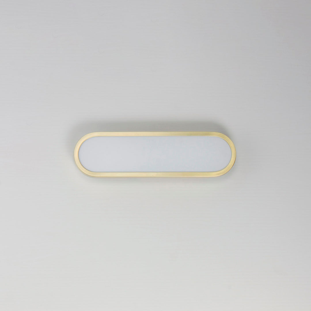 18" Led Bath Sconce