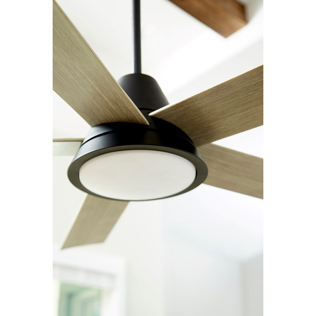 Temple X Ceiling Fan Black