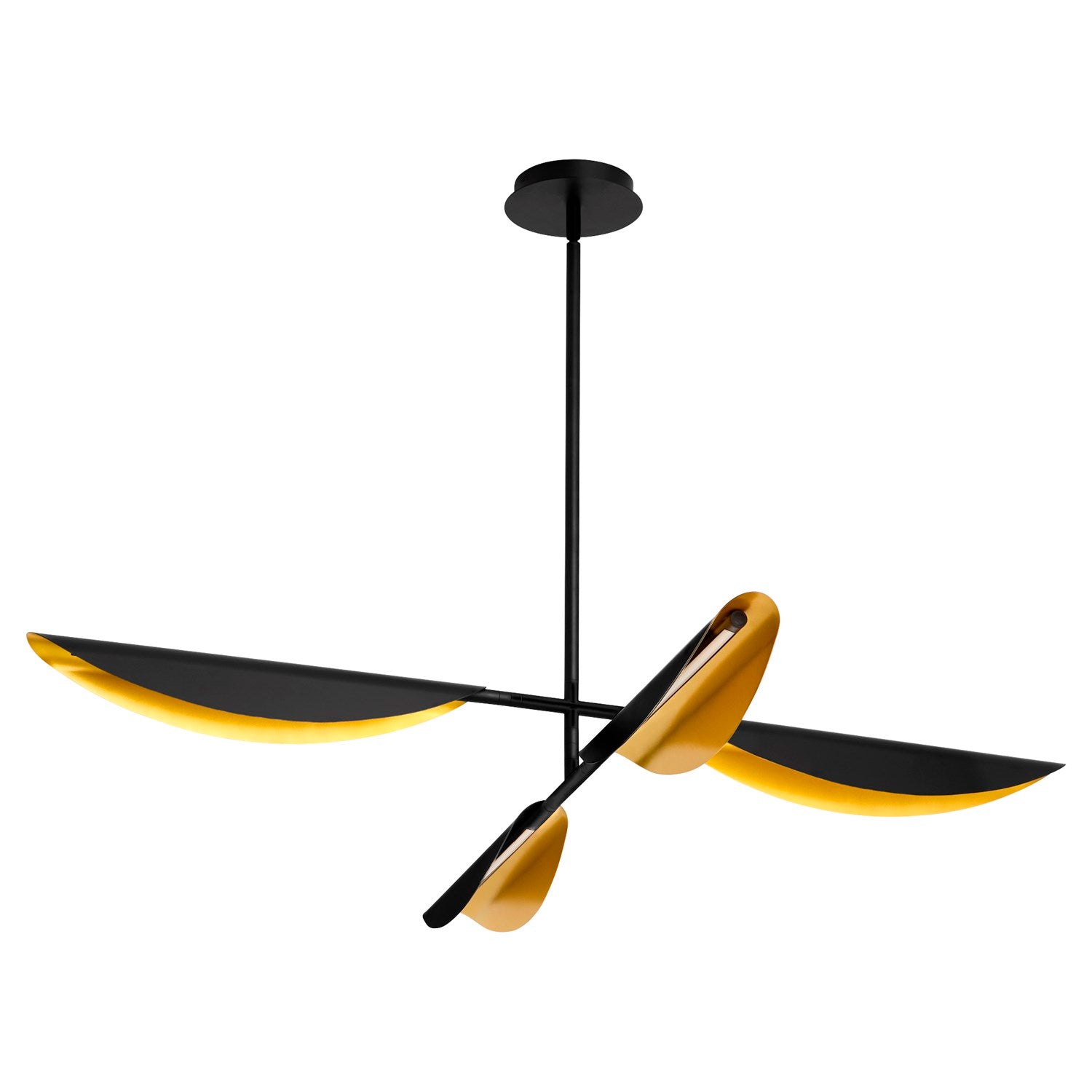 55X7 Chandelier Black Aged Brass by Oxygen Lighting