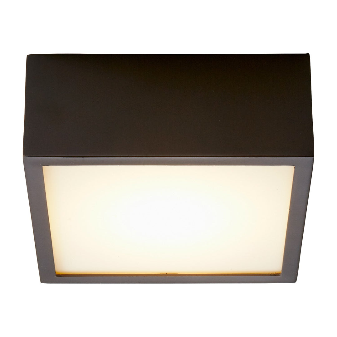 4.875X2 Ceiling Mount