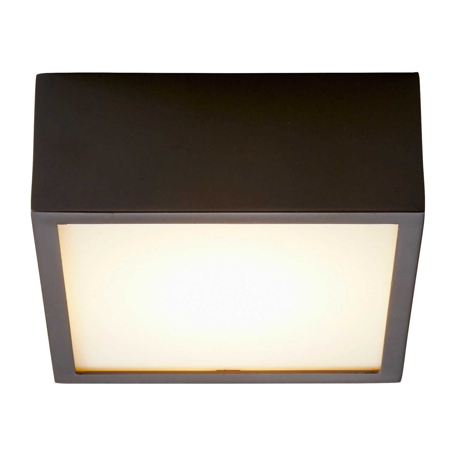 4.875X2 Ceiling Mount